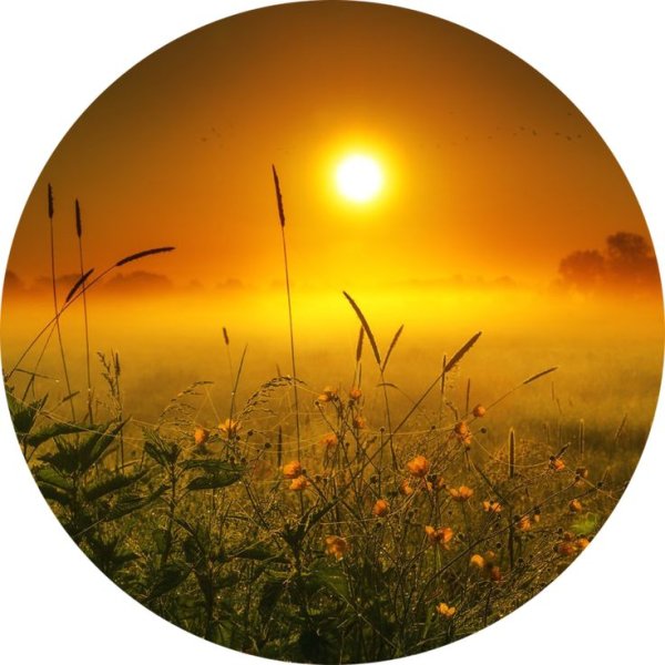 Круглое лето