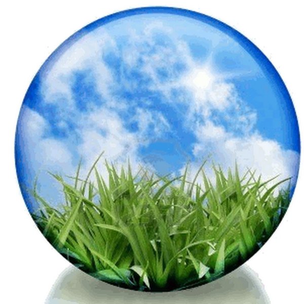 Круг в природе