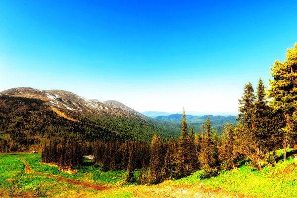 Гора зеленая Горная Шория летом