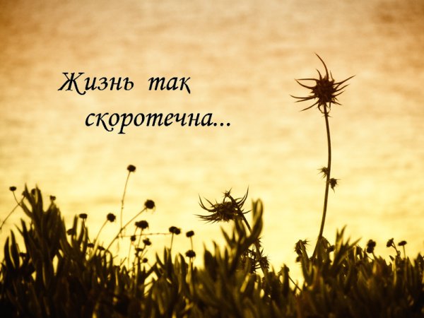 Жизнь скоротечна