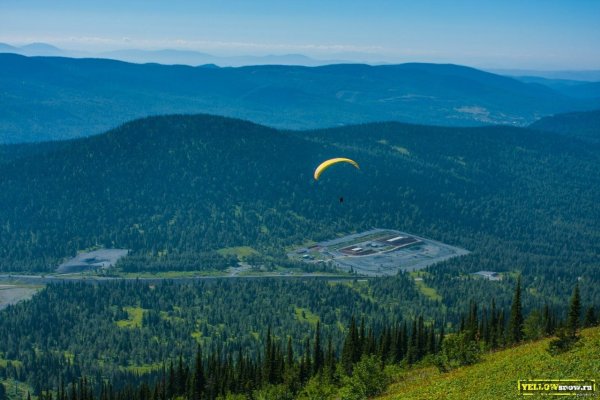 Лес Шерегеш лето