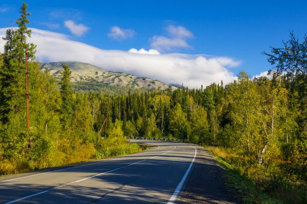 Гора зеленая Горная Шория