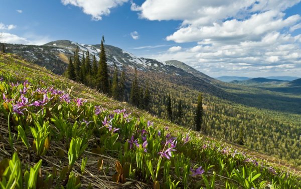 Канатная дорога Таштагол