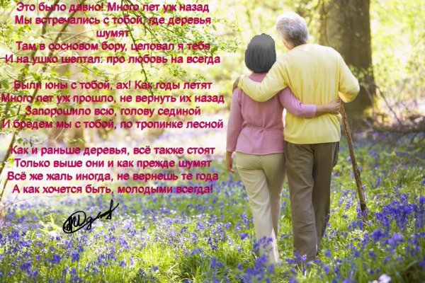 Отгремели давно залпы наших орудий а в воронке от бомбы