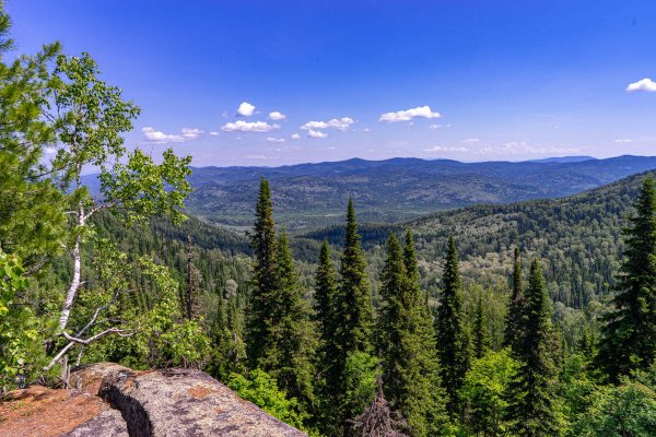 Шерегеш гора зеленая лето