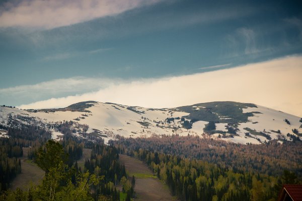 Гора зеленая Шерегеш летом