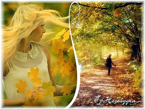 Одинокая жизнь