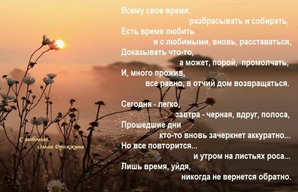 У каждого своя дорога