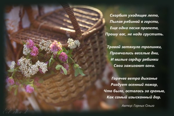 Пусть я уже совсем не молода стихи