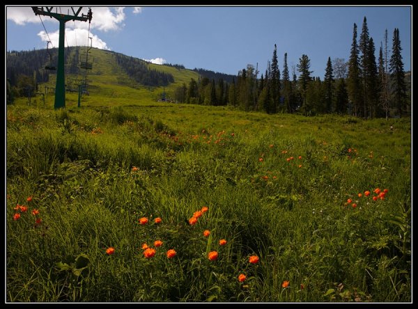 Шерегеш поселок летом