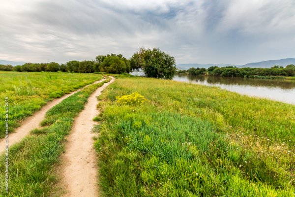 Лето в Сибири