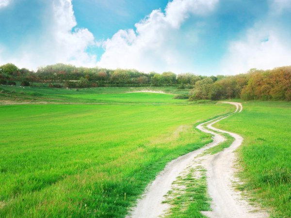 Летняя дорога