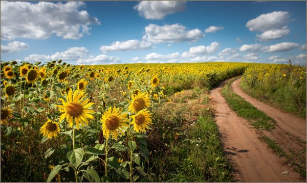 Красивые дороги