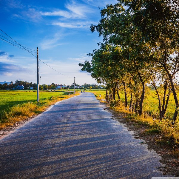 Красивое лето