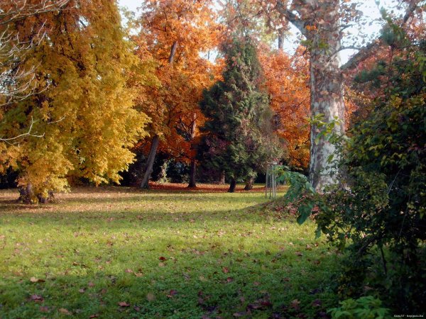 Переход из лета в осень