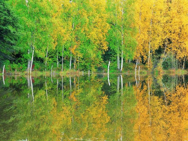Природа Весна осень