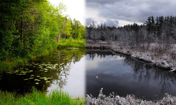 Река летом и зимой