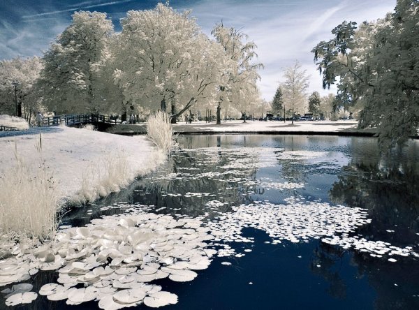 Снег на водоёме