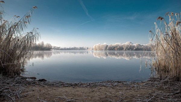 Озеро Винтер Рязанская область
