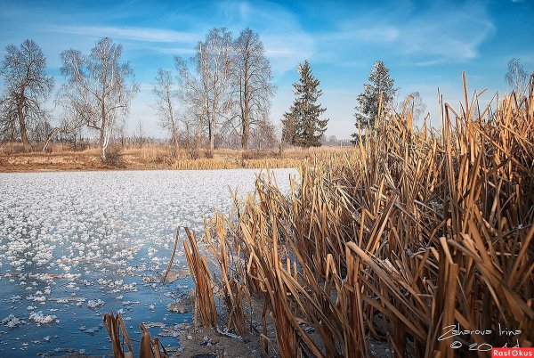 Пруд зимой