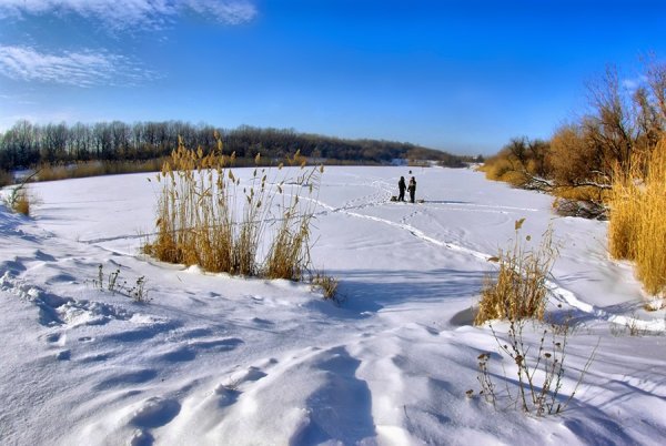 Замерзший водоем