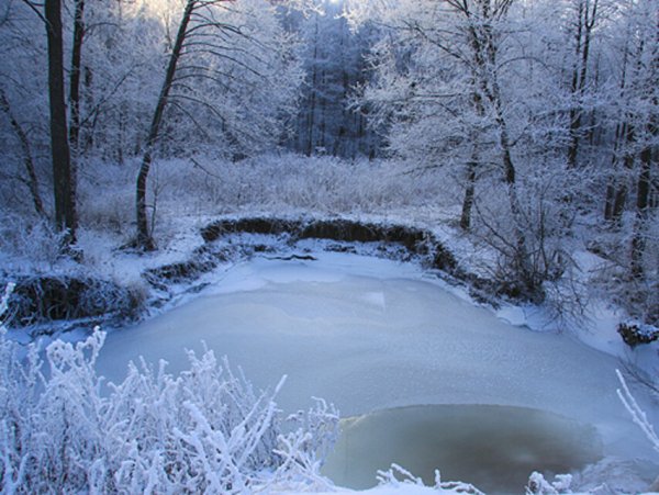 Водоемы зимой