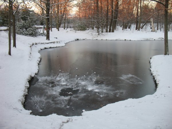 Зимний водоем