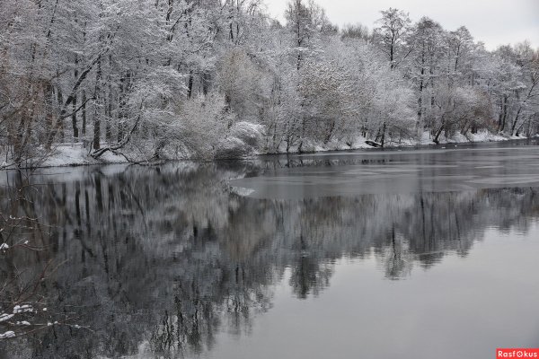 Пруд Кузьминки зимний