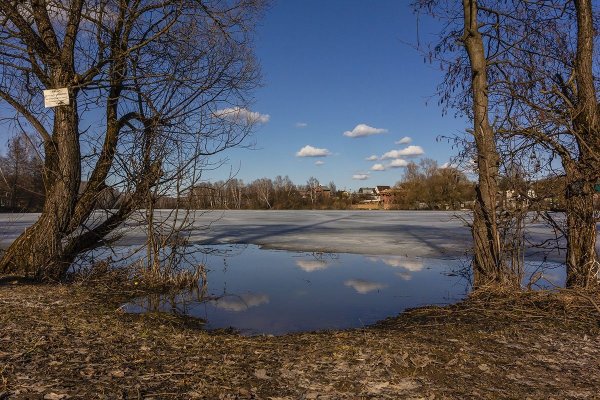 Пруд весной
