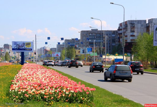 Сургут летом