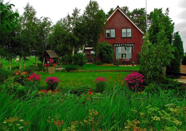 Красивый дом с лужайкой