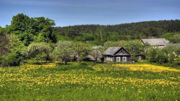 Домик у речки