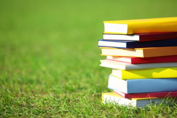 Летняя школа картинки