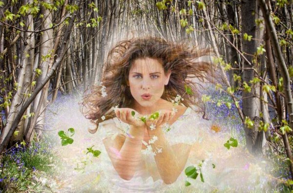 Художник Вячеслав палачев туман