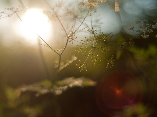 Двойная экспозиция