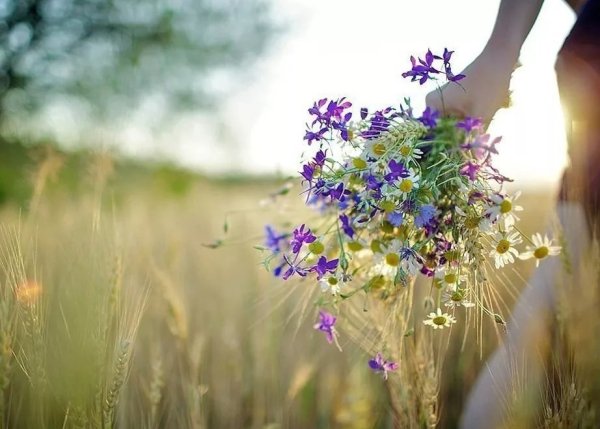 Человек и природа