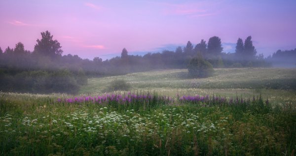 Валерия Коцарева картины
