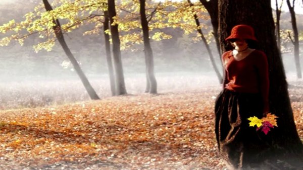 Окно осень фотохудожник