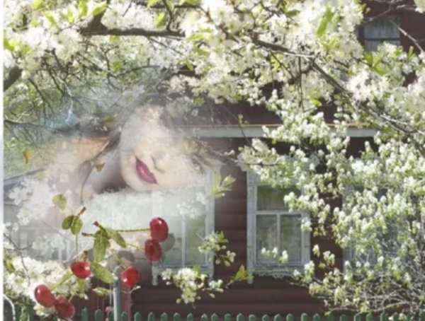 Осень ветер холод снег