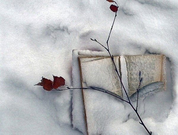 Скоро осеньза Онгоми август