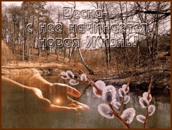 Дождь за окном