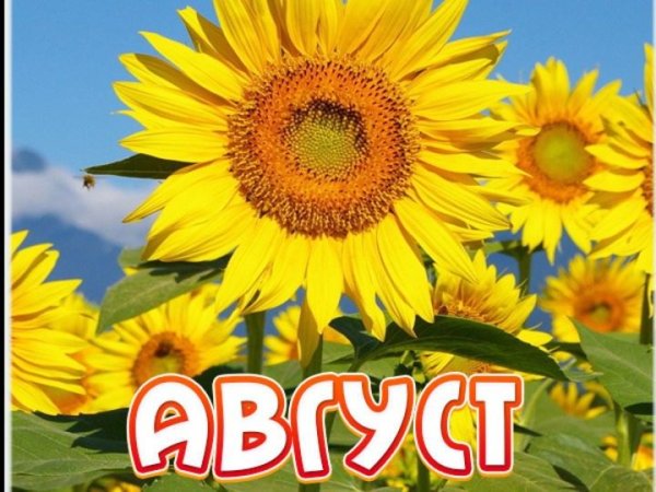 Август надпись