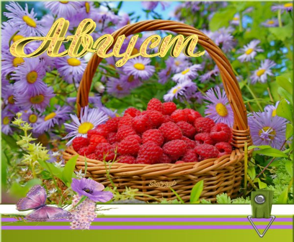 Открытка Здравствуй август лето продолжается