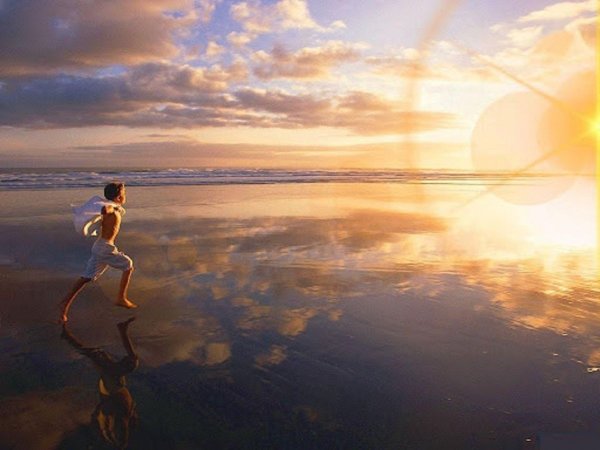 Сказочное поле