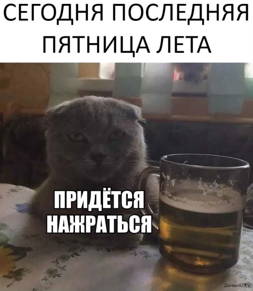 Последняя пятница года юмор