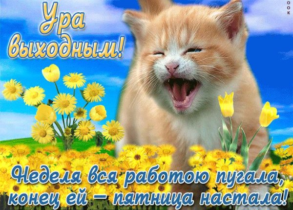 Поздравление с окончанием рабочей недели