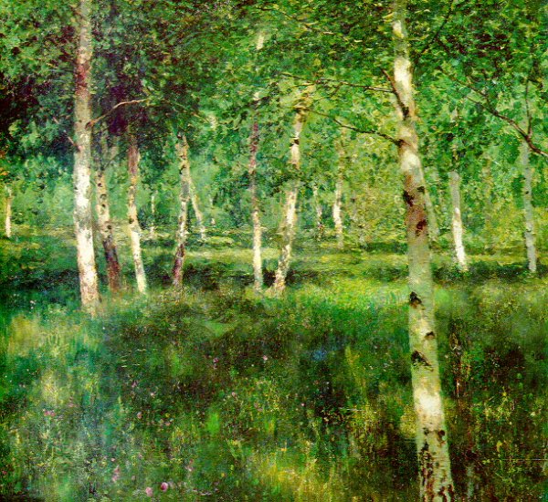 Берёзовая роза тритековская галерея Ливетан