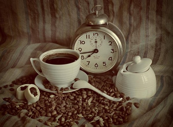 Лето велосипед