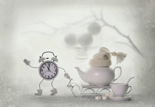 Цветы в чайной чашке