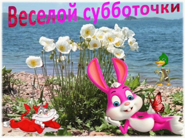 Добрый день суббота прикольные